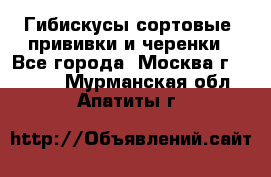 Гибискусы сортовые, прививки и черенки - Все города, Москва г.  »    . Мурманская обл.,Апатиты г.